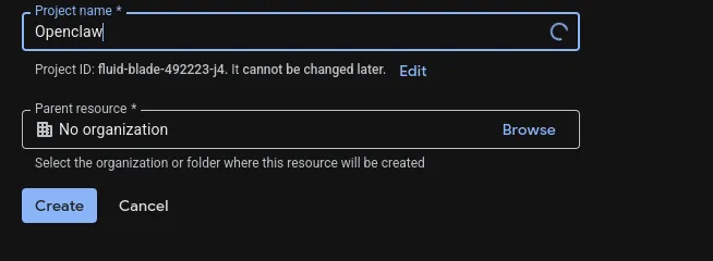 Project creation form