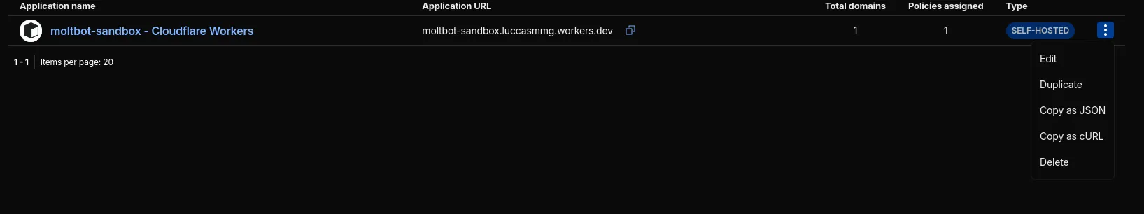 Open the Access application to inspect its settings